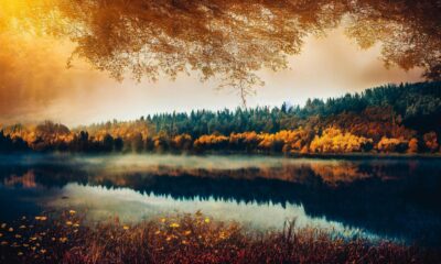 Arm Drives the Future of Edge AI with Game‑Changing Tech