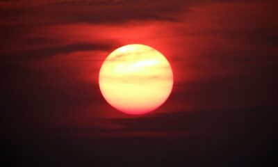 Polymarket Users Bet $2M on Golden Globes: Winners Revealed