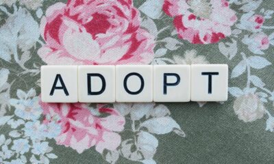 Allister Frost: Overcoming Workforce Anxiety for AI Integration Success