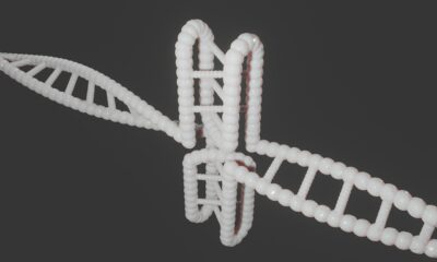 Why CNAME Ordering in RFC Specs Triggered Cloudflare 1.1.1.1 Outage