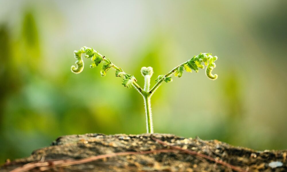 I'm the oldest US Olympian ever to compete. I had to keep my full-time job, and worked over 40 hours while on the road.