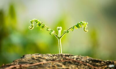 I'm the oldest US Olympian ever to compete. I had to keep my full-time job, and worked over 40 hours while on the road.