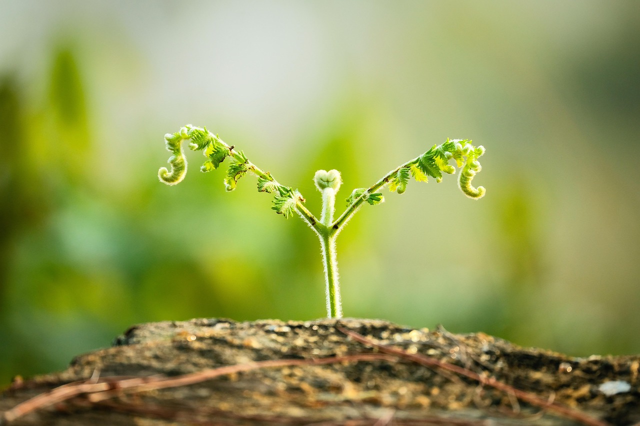 I'm the oldest US Olympian ever to compete. I had to keep my full-time job, and worked over 40 hours while on the road.