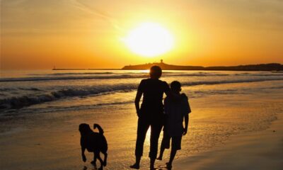Parent Reflects on Sending Teen Son Abroad for Independence, Now Seeks His Adult Guidance
