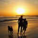 Parent Reflects on Sending Teen Son Abroad for Independence, Now Seeks His Adult Guidance