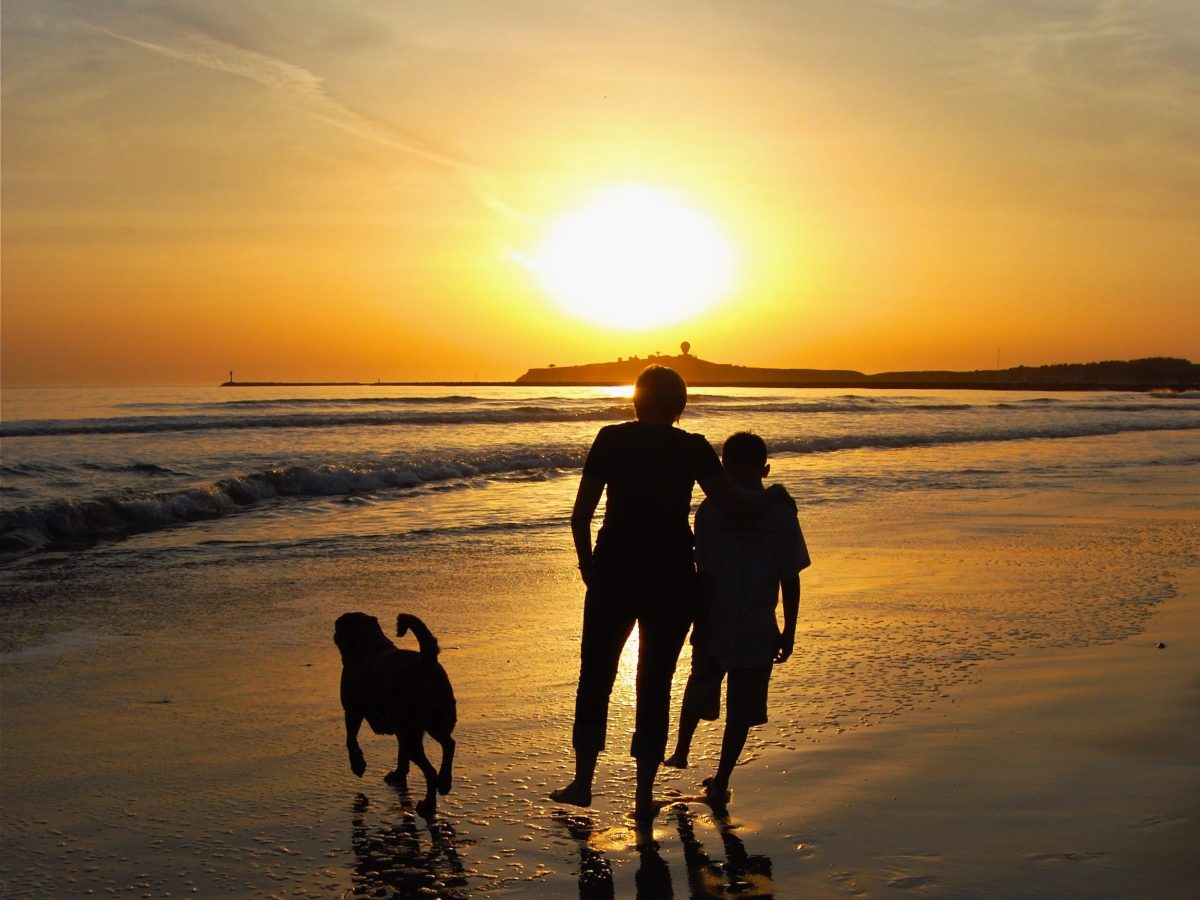 Parent Reflects on Sending Teen Son Abroad for Independence, Now Seeks His Adult Guidance