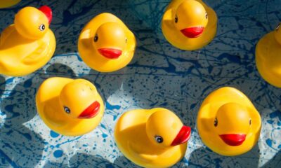 DuckDB Introduces Quack Protocol for Remote Multi-User Database Access Over HTTP