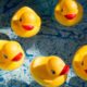 DuckDB Introduces Quack Protocol for Remote Multi-User Database Access Over HTTP