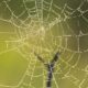 Momentic Migrates from PostgreSQL to ClickHouse to Support 2 Million Daily Queries